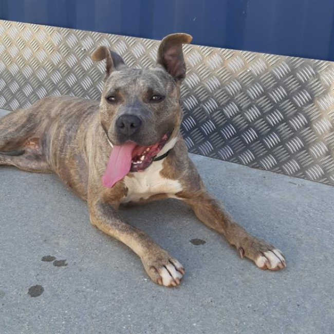 Photo de Mademoiselle