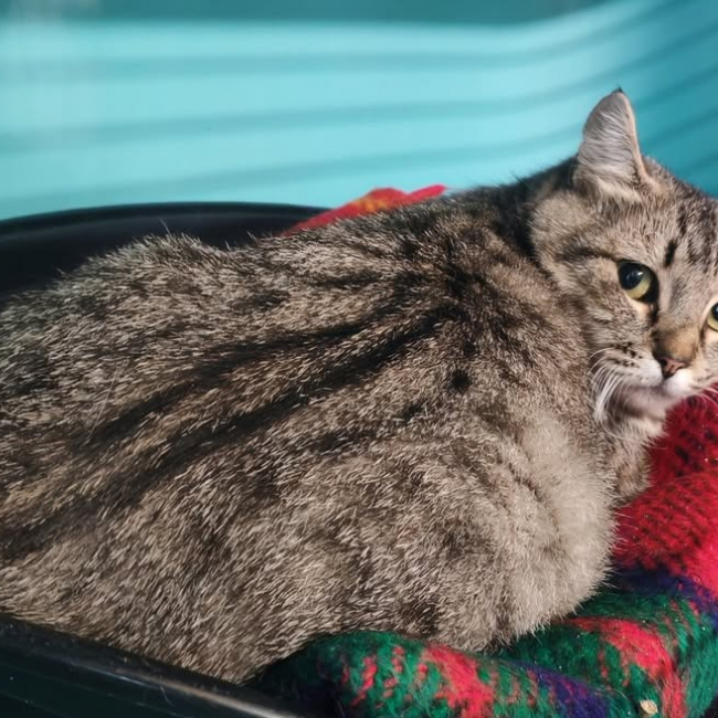 Photo de Plumapapote