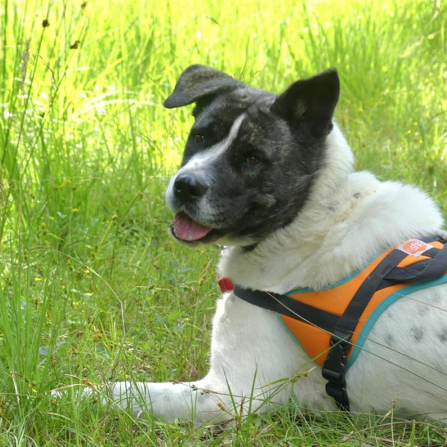 Photo de Lylie belle