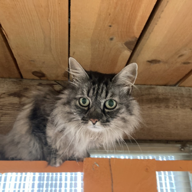 Photo de Laidy réservé