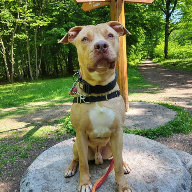 Photo de Glam dit gucci