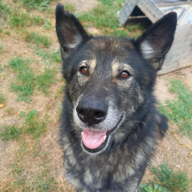 Photo de FantÔmette