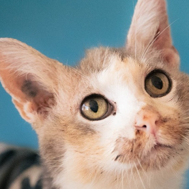 Photo de Leonard famille relais