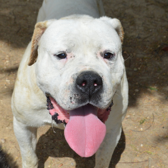 Photo de Max dit panchito