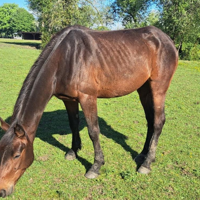 Photo de Loumana elte