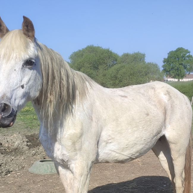 Photo de Princesse d'anger