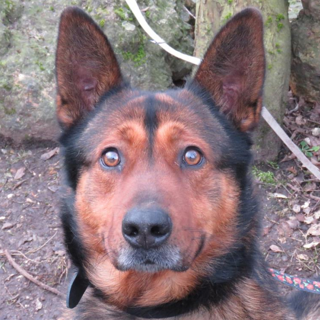 Photo de Brooke dit rakel