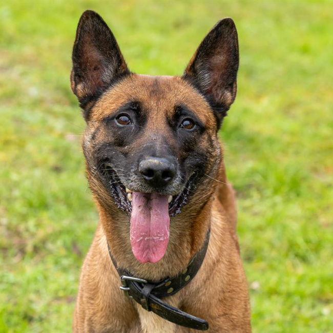 Photo de P'tit coeur