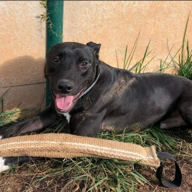 Photo de Raiden dit rainbow