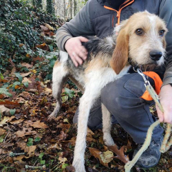 Photo de Réservé jego