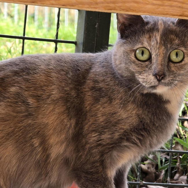 Photo de Gourmandise