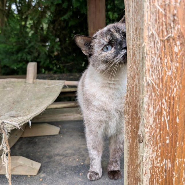 Photo de Tamouchette a16805