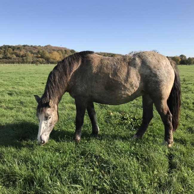 Photo de Rolynnbelle