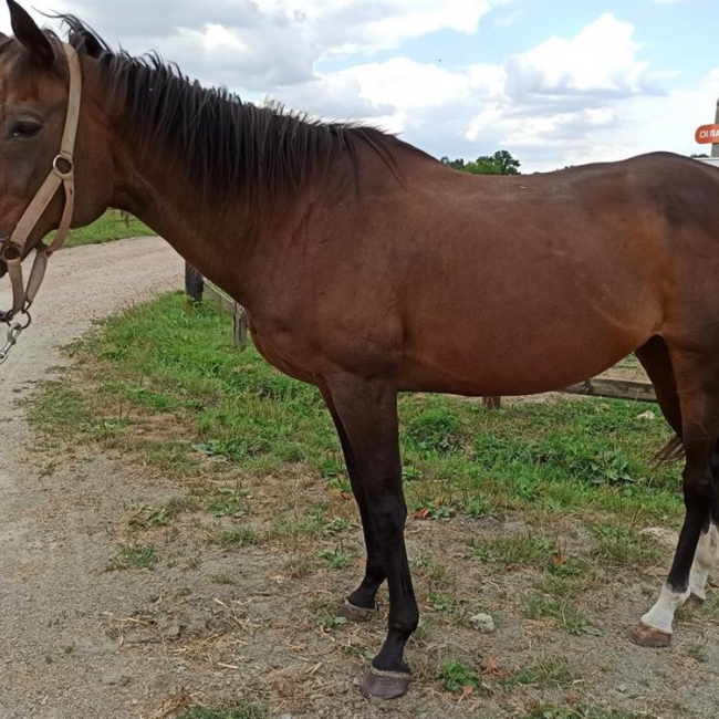 Photo de Music in blue