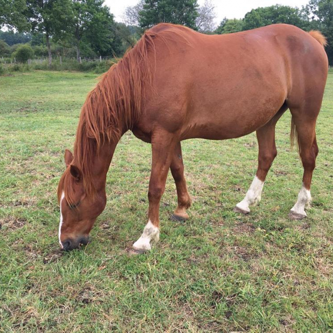 Photo de Uzo nonentais