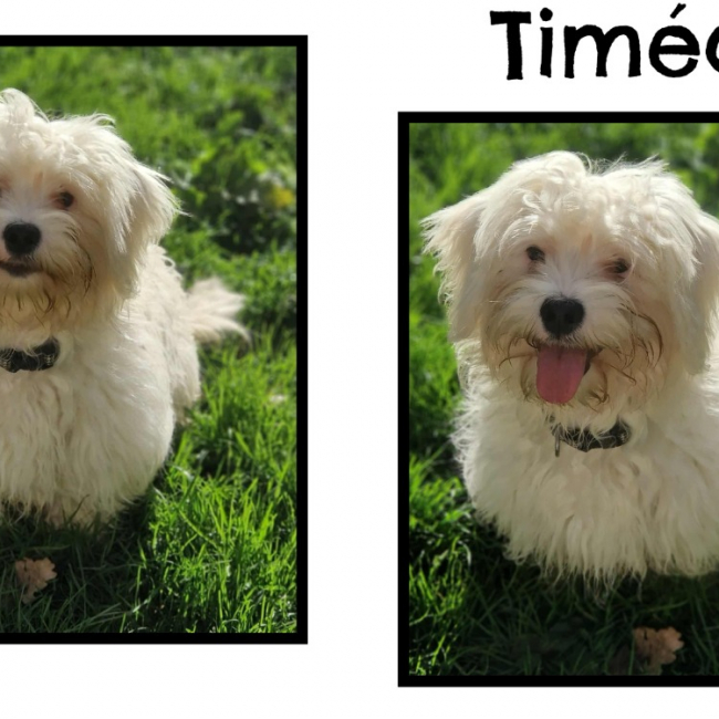 Photo de Timea réservé