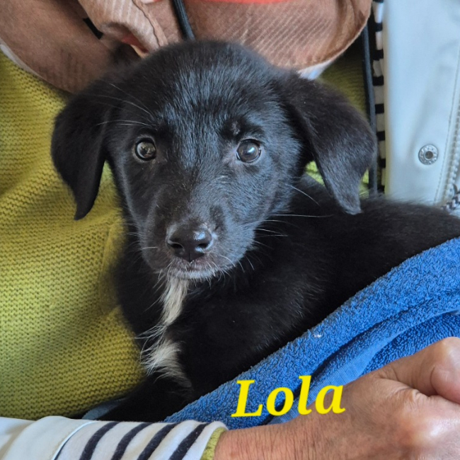 Photo de Lola