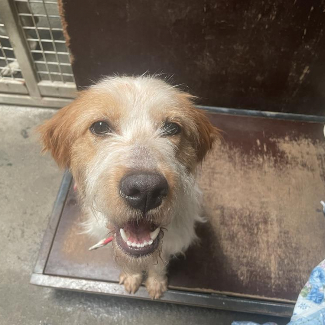 Photo de Triss dite uby