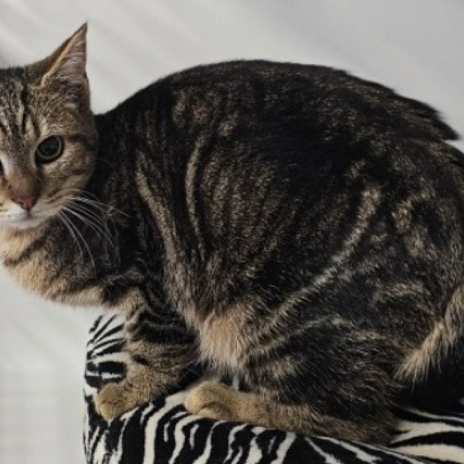 Photo de Prima nocta