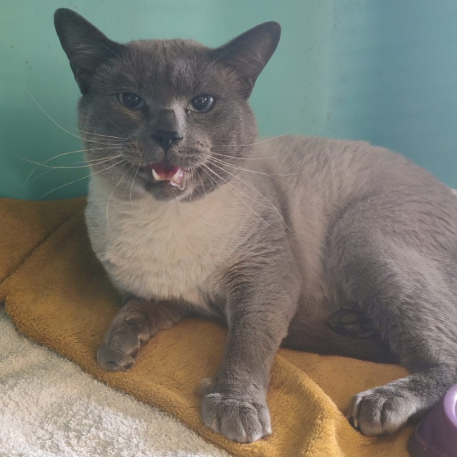 Photo de Hipster jungle