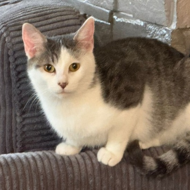 Photo de De beauvoir