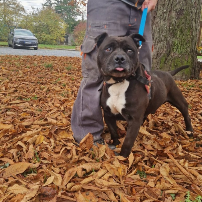 Photo de Lord l' ron