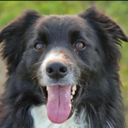 Photo de Samy réservé