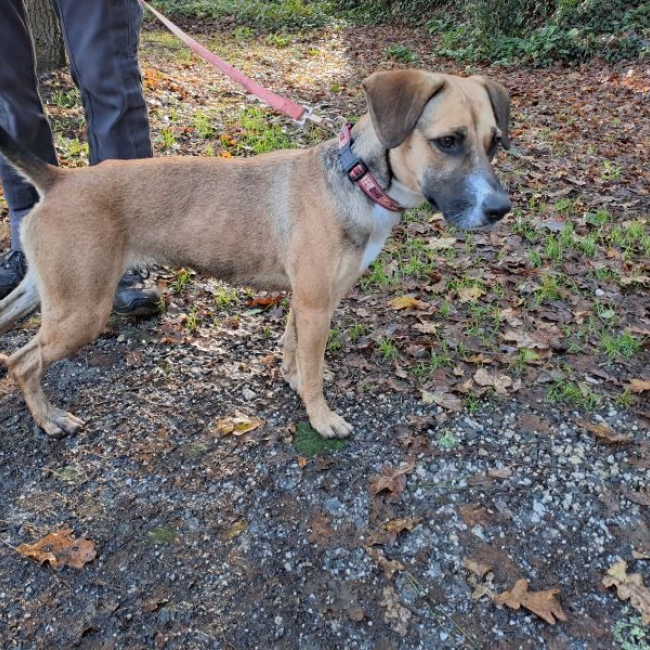 Photo de Réservé naya