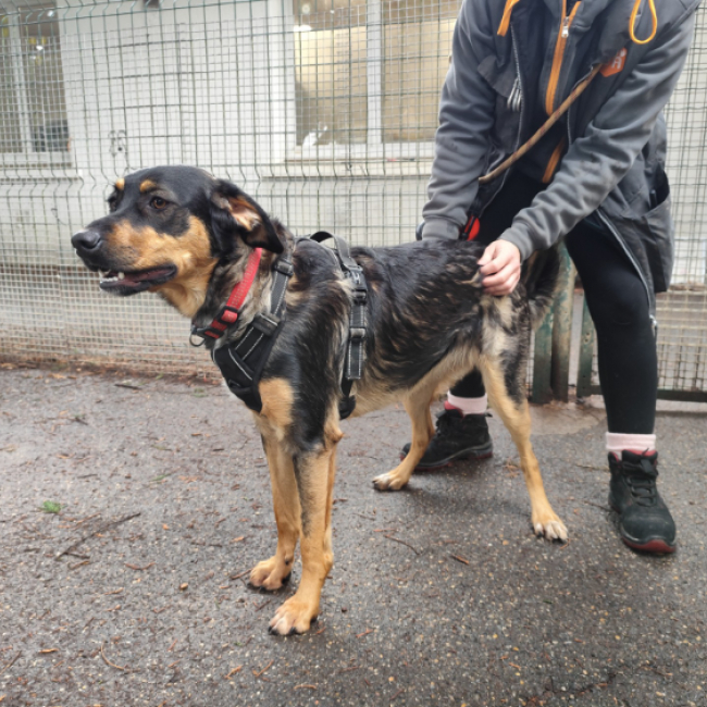 Photo de Poulette dit nahya