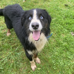 Photo de Demon réservé