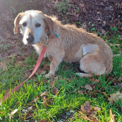 Photo de Réservé lola