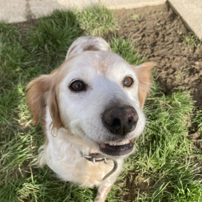 Photo de Orphee réservé