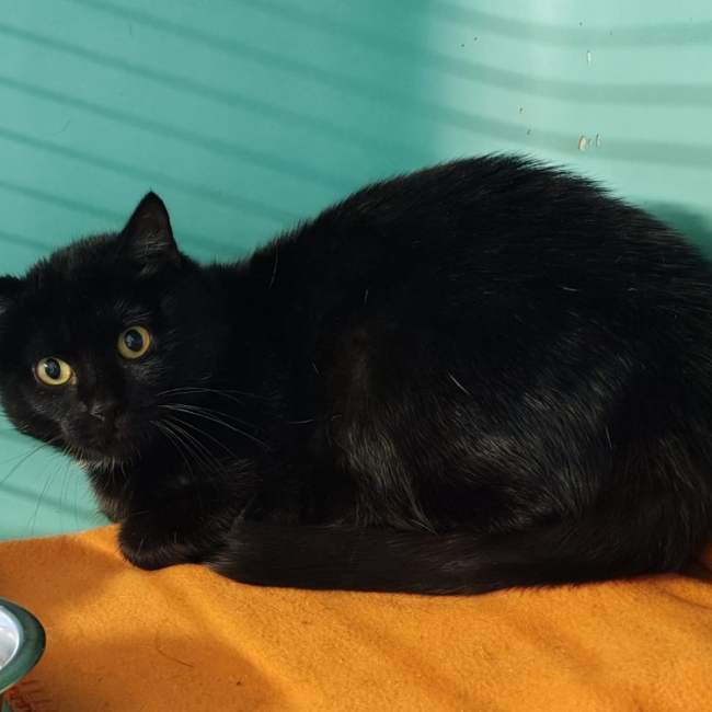 Photo de Princesse aya