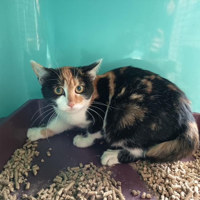 Photo de Peyredragon