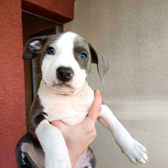 Photo de Bloody mary