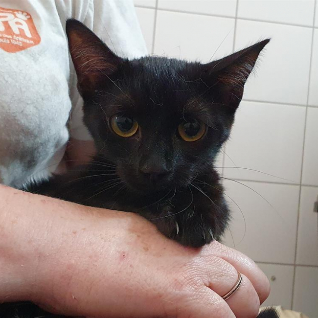 Photo de Gouttelette d