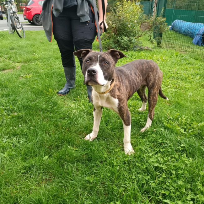 Photo de Milo ex appollo