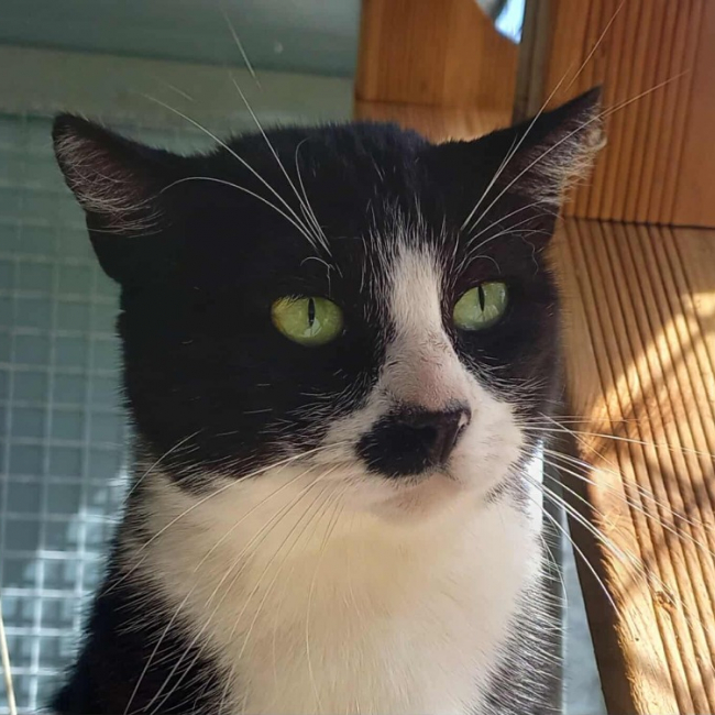 Photo de Beetlejuice