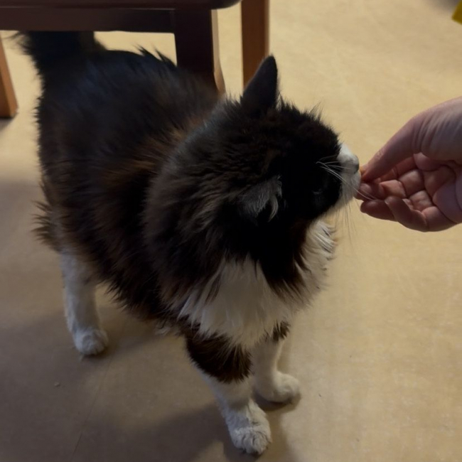 Photo de Moustache le papy