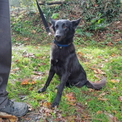 Photo de Ficelle réservé