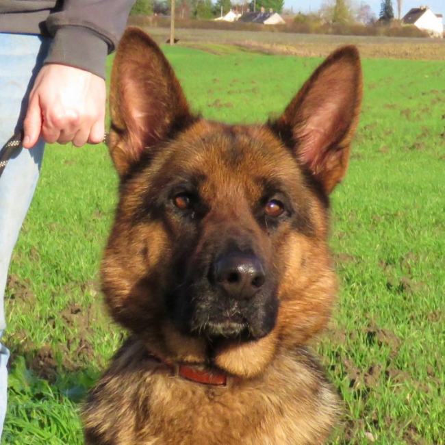 Photo de Djesi dit ledi