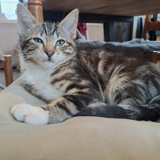 Photo de Masha réservé