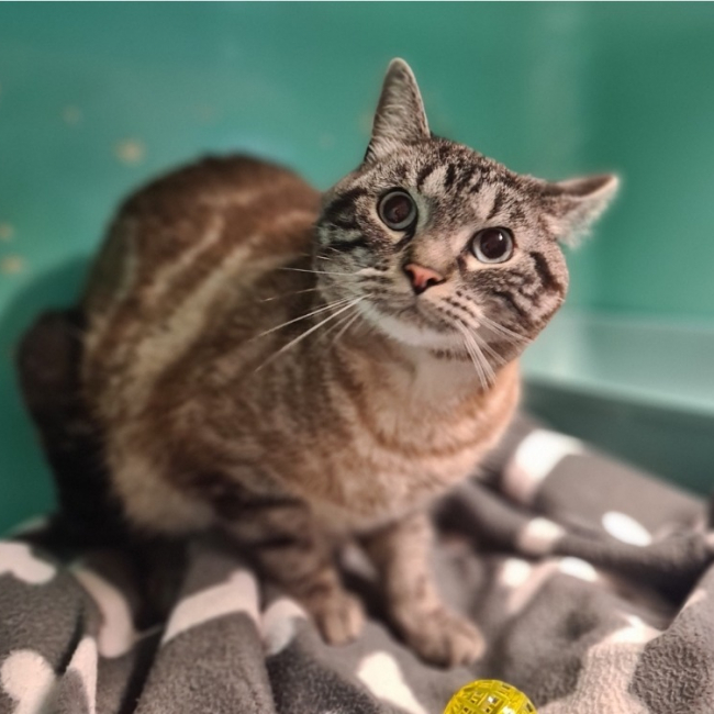 Photo de Snow réservé