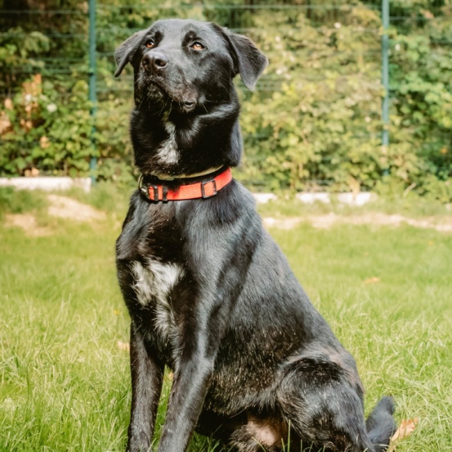 Photo de Black pearl