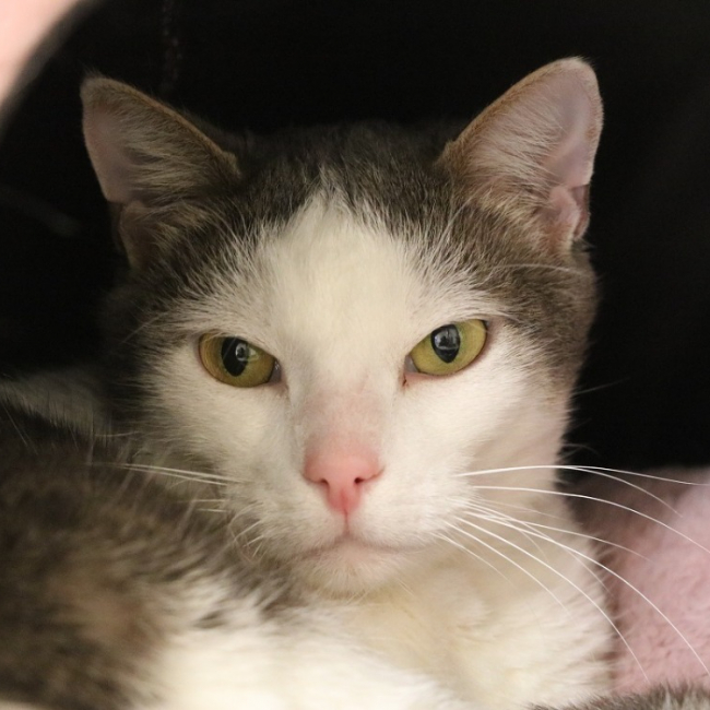 Photo de Mini crotte