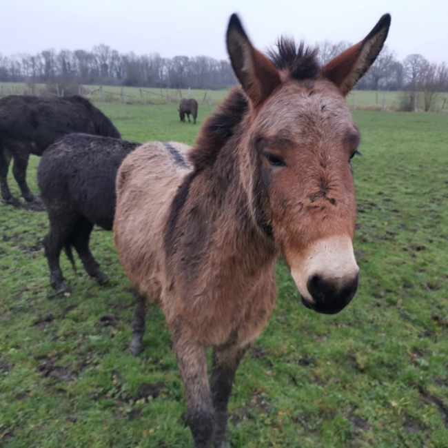 Photo de Numa de belnoe