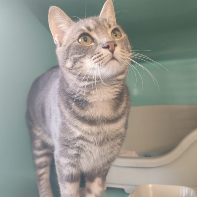 Photo de Melody divine