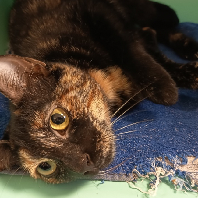 Photo de Mariah carey