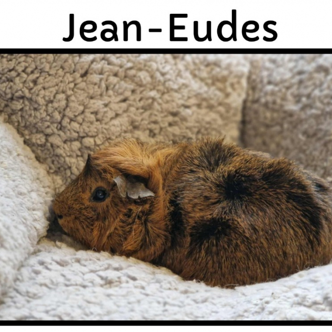 Photo de Jean-eudes