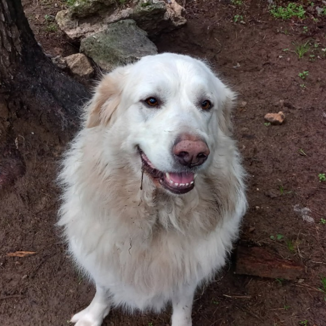 Photo de Zouna belle